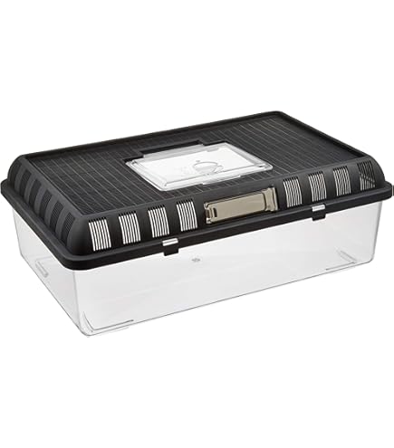 Amazon | SUDO(スドー) ハープクラフト レプティケース S RX-430